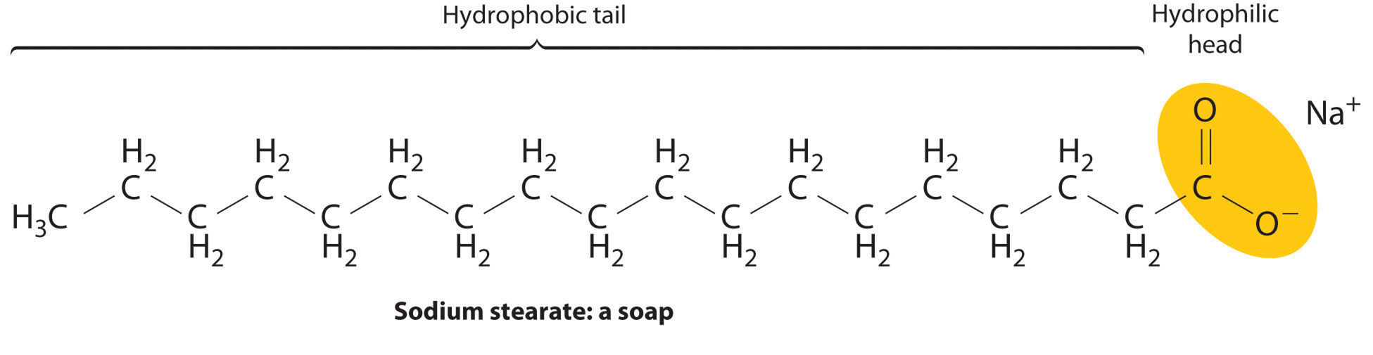 What are micelles? How does the formation of a micelle help to clean ...