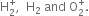 straight H subscript 2 superscript plus comma space space straight H subscript 2 space and space straight O subscript 2 superscript plus.