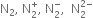 straight N subscript 2 comma space straight N subscript 2 superscript plus comma space straight N subscript 2 superscript minus comma space space straight N subscript 2 superscript 2 minus end superscript