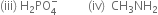 left parenthesis iii right parenthesis space straight H subscript 2 PO subscript 4 superscript minus space space space space space space space space space space left parenthesis iv right parenthesis space space CH subscript 3 NH subscript 2