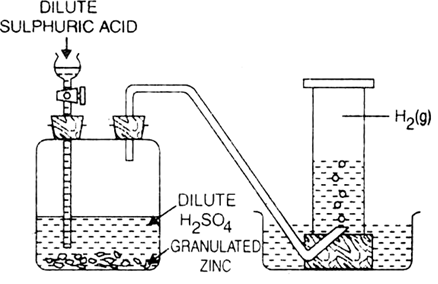 How Will You Prepare Hydrogen In Laboratory? From Chemistry Hyd