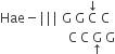 Hae minus vertical line vertical line vertical line space straight G space straight G space straight C with downwards arrow on top space straight C space
space space space space space space space space space space space space space space space space space space space space space straight C space straight C space straight G with upwards arrow below space straight G