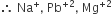 therefore space Na to the power of plus comma space Pb to the power of plus 2 end exponent comma space Mg to the power of plus 2 end exponent