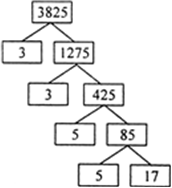 
(iii) 3825So, 3825 = 3 × 3 × × 5 × 5 × 17
= 32 × 52 × 17.
