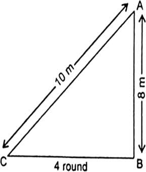 
Let AC is the ladder C is the foot of the ladder, such that AC = 10 m