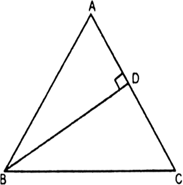 
An isosceles triangle ABC, with AB = AC. BD is perpendicular from B t