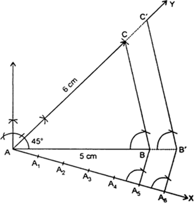 
Steps of Construction :1.    Draw a line segment AB = 5 cm.2.   