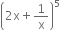 open parentheses 2 straight x plus 1 over straight x close parentheses to the power of 5