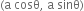 left parenthesis straight a space cosθ comma space straight a space sinθ right parenthesis