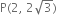 straight P left parenthesis 2 comma space 2 square root of 3 right parenthesis