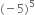 left parenthesis negative 5 right parenthesis to the power of 5