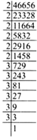 
(viii) By prime factorisation, we have46656  = 2 x 2 x 2 x 2 x 2 x 2
