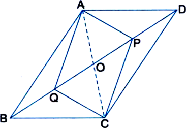 
Given: In parallelogram ABCD, two points P and Q are taken on diagona