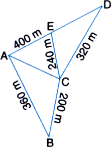 Kamla Has A Triangular Field With Sides 240 M 0 M 360 M Where She Grew Wheat In Another Triangular Field With Sides 240 M 3 M 400 M Adjacent To The