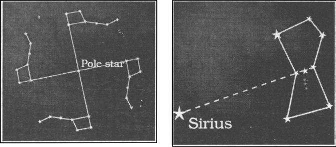 Draw Sketches to Show the Relative Position of Prominent Stars In Ursa Major   Science  Shaalaacom