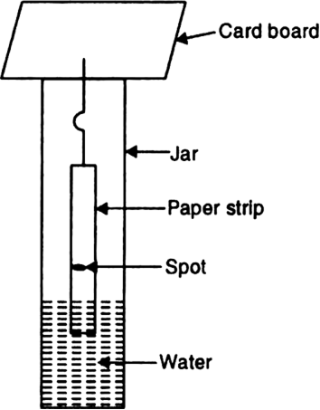 
Take a strip of a special type of filter paper. Draw a line with the 
