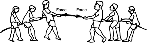 What are balanced forces? Give examples. from Science Force And Laws Of ...