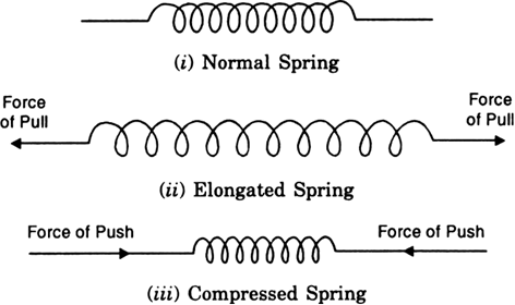 Give examples to show that balanced forces change the shape of the ...