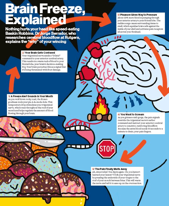 brain-freeze-aka-ice-cream-headache-or-sphenopalatine-ganglioneuralgia