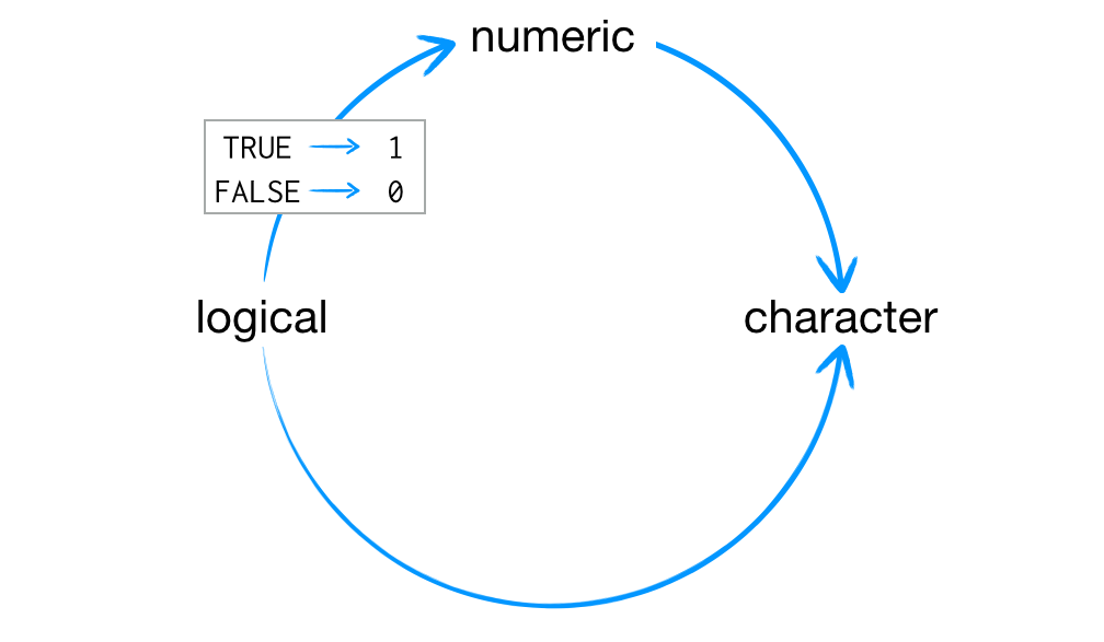 what-is-coercion-in-r-zigya